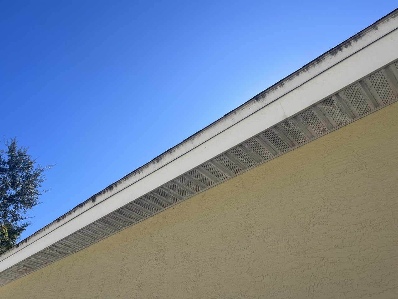 Soffits and trim before cleaning